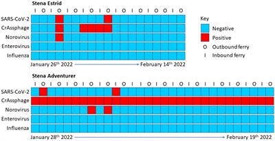 Use of wastewater from passenger ships to assess the movement of COVID-19 and other pathogenic viruses across maritime international boundaries